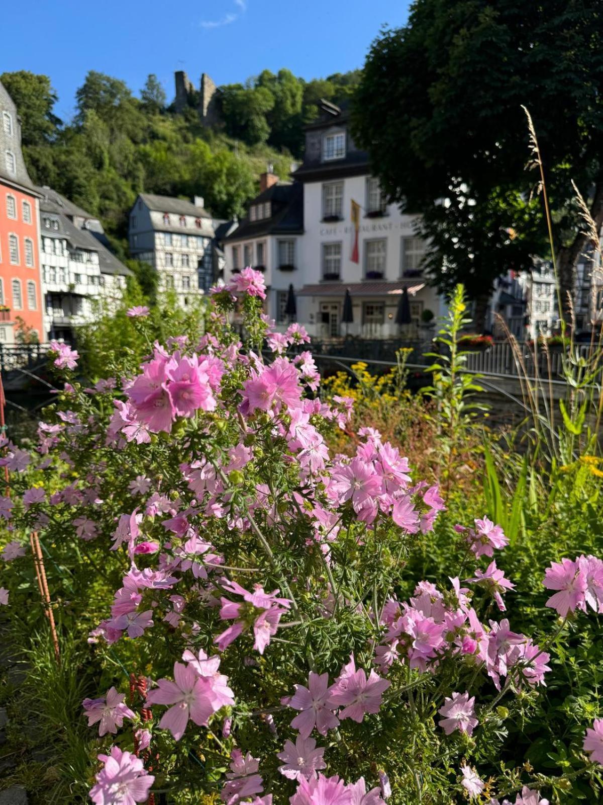 FeWo in Monschau Exterior foto